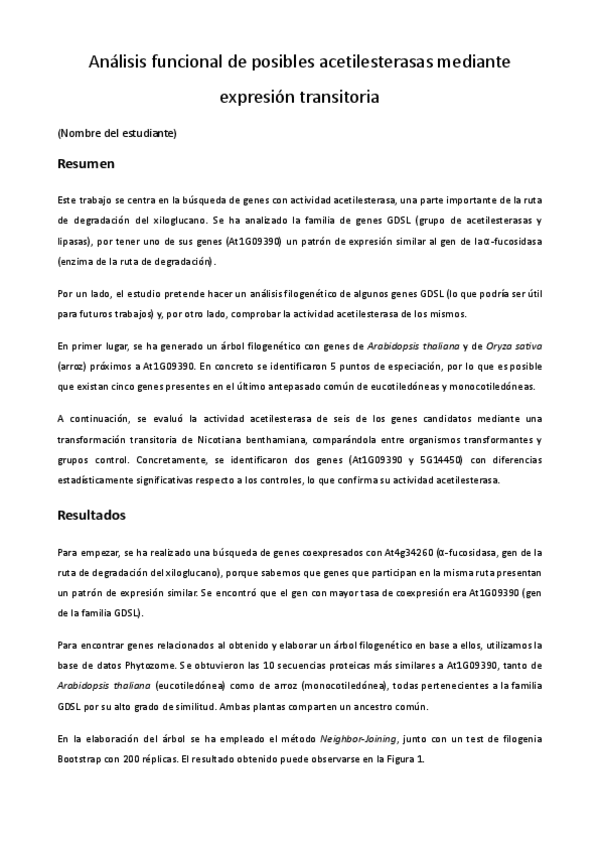 Miniatura del documento Guion-de-Practicas-BV-2024.pdf