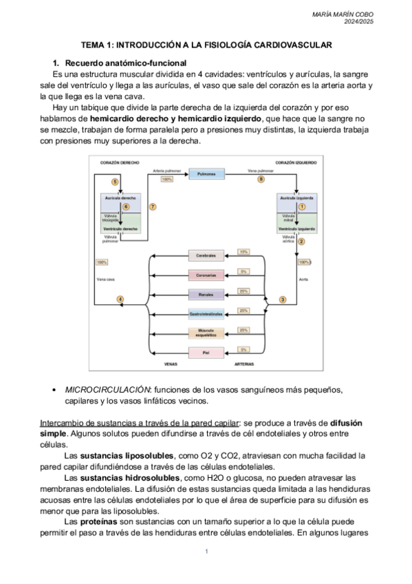 Miniatura del documento TEMA-1-FISIO-II-cardiaco.pdf