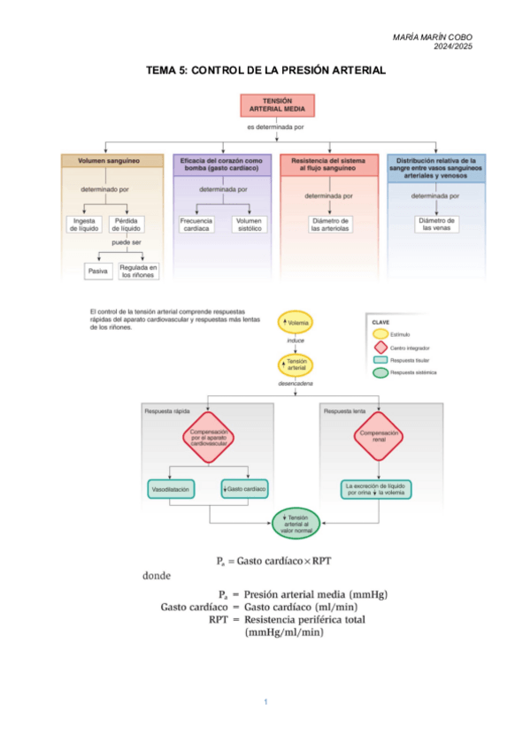 Miniatura del documento TEMA-5-FISIO-II-cardiaco.pdf