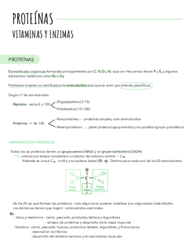 Miniatura del documento Tema-4-bio-proteinas.pdf