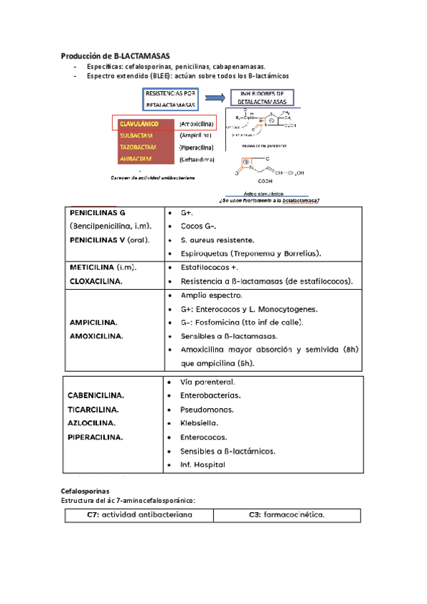 Miniatura del documento tema-25-completo.pdf
