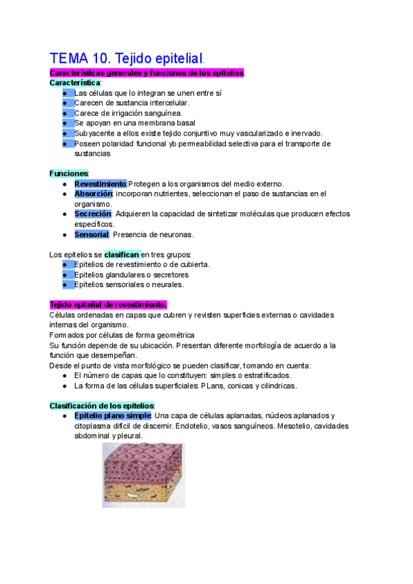 Miniatura del documento TEMA-10.-Tejido-epitelial..pdf