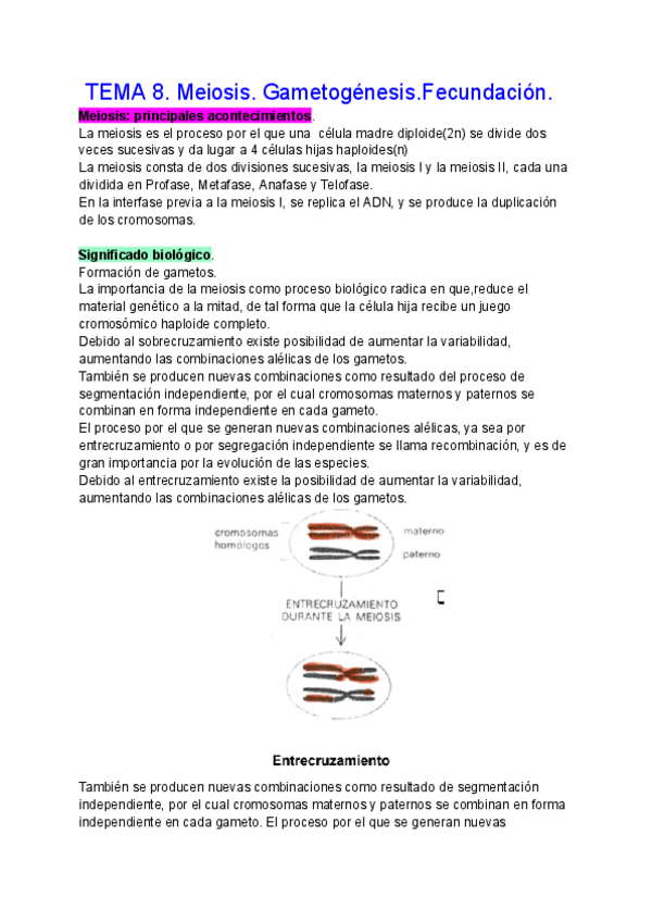 Miniatura del documento TEMA-8.-Meiosis.-Gametogenesis.Fecundacion..pdf
