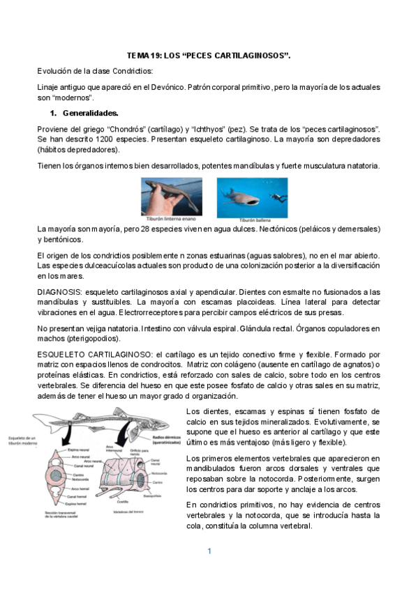 Miniatura del documento TEMA-19.pdf