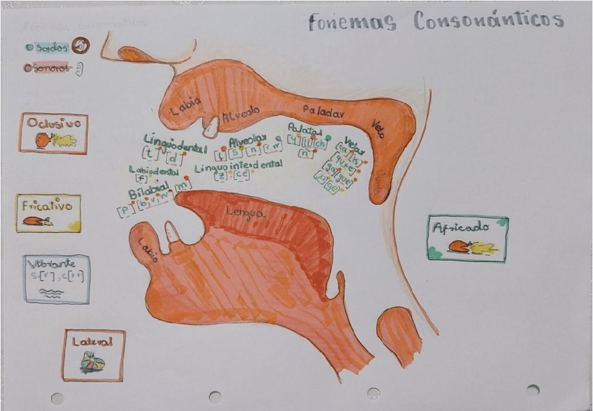 Miniatura del documento Fonemas-consonanticosAprendelo-Facil2o-Parcial-de-LenguaMagisterio1o-anoUNICAN.pdf