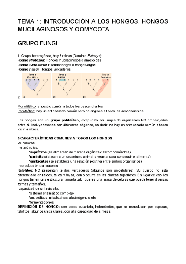 Miniatura del documento INTRODUCCION-A-LOS-HONGOS-HONGOS-MUCILAGINOSOS-Y-HONGOS-ALGAS.pdf