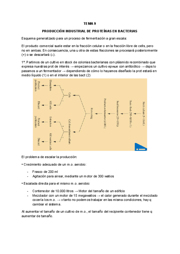 Miniatura del documento Temas-9-y-10-Produccion-industrial-de-proteinas-en-bacterias.pdf
