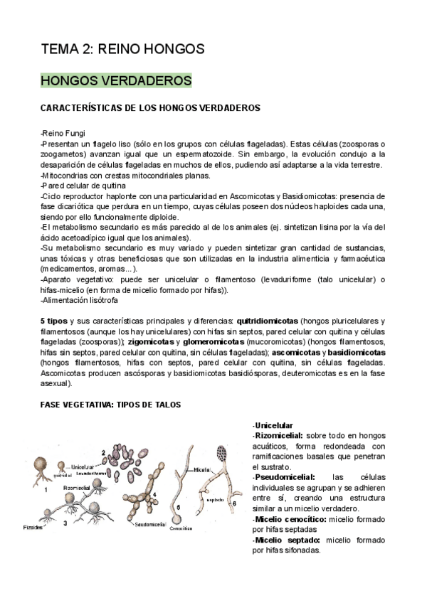 Miniatura del documento TEMA2.REINOHONGOS.pdf