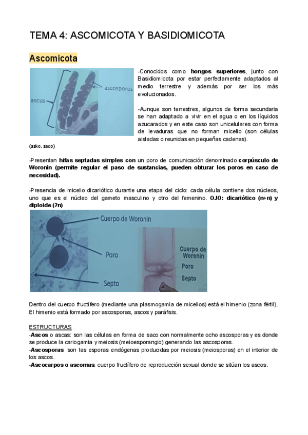 Miniatura del documento ASCOMICOTA.pdf