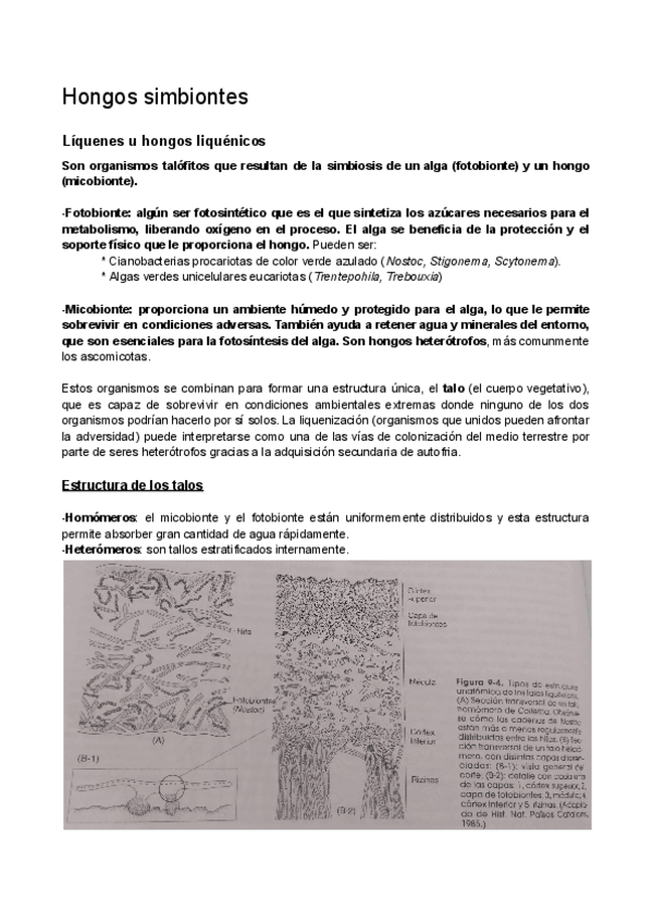 Miniatura del documento HONGOS-SIMBIONTES-MICORRIZAS-Y-APLICACIONES.pdf