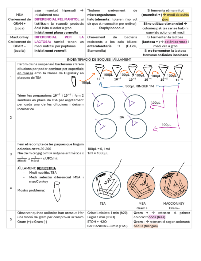Miniatura del documento resum-practiques.pdf