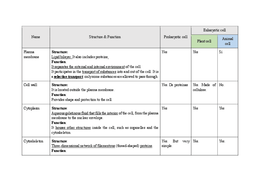 Miniatura del documento 01Tabla-InglesEstructuras-y-Organulos-celulares.pdf