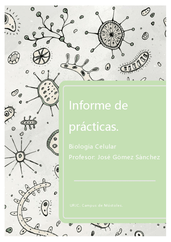 Miniatura del documento Informe-de-practicas.pdf