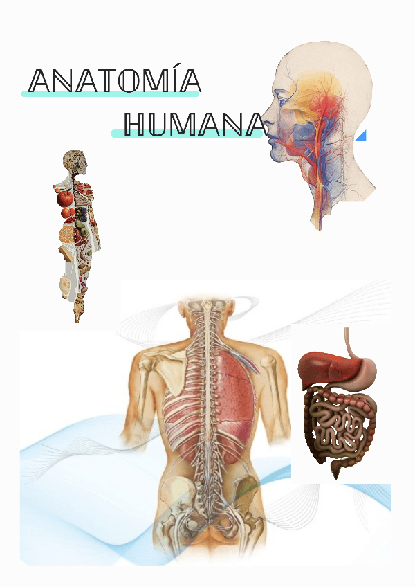 Miniatura del documento parcial-3-temas-910-y-11.pdf