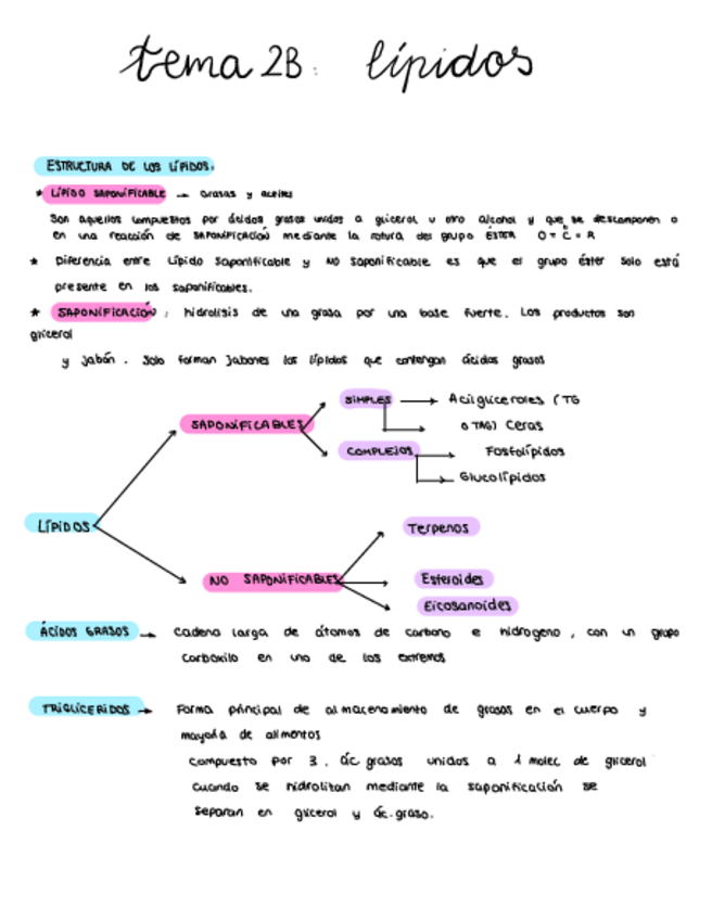 Miniatura del documento Tema2B.pdf
