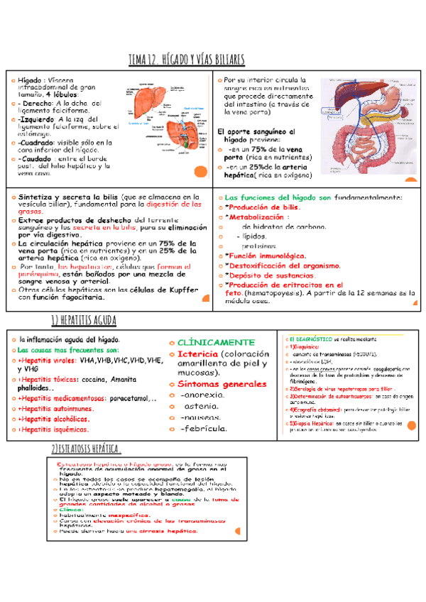 Miniatura del documento TEMA-12-FISIOPA.pdf