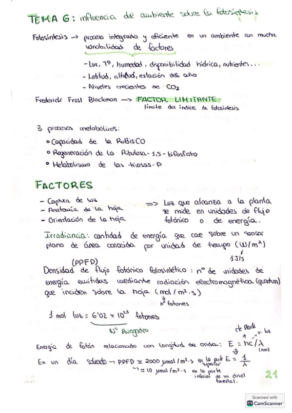 Miniatura del documento Tema-5-fisio-vegetal-I.pdf