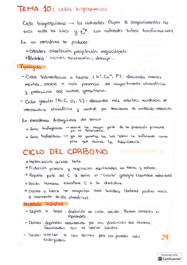 Miniatura del documento Tema-10-ecologia-I.pdf