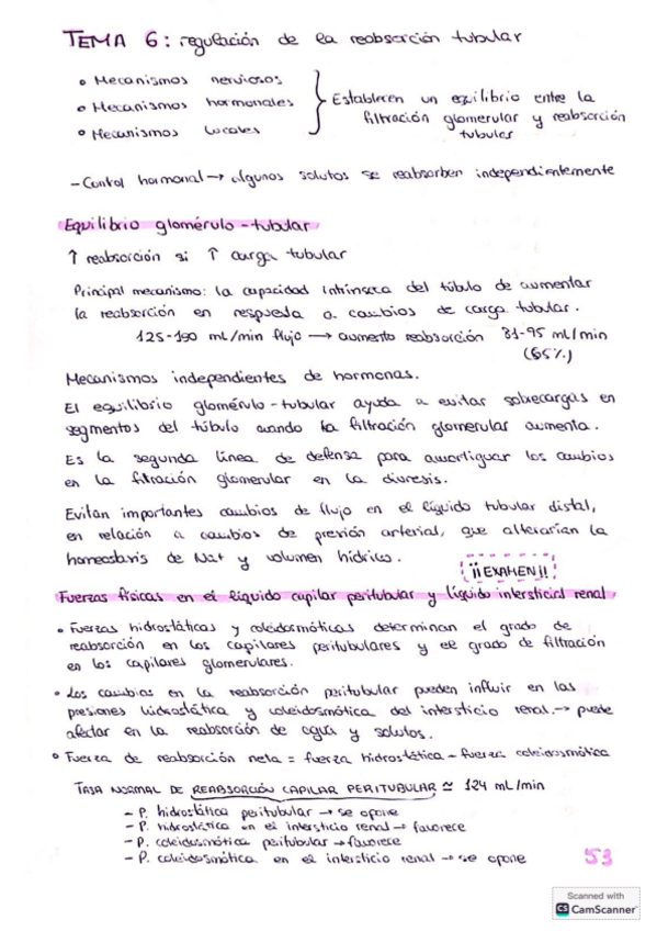 Miniatura del documento Tema-6-excretor.pdf