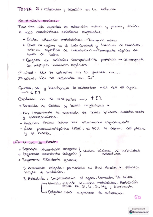 Miniatura del documento Tema-5-excretor.pdf
