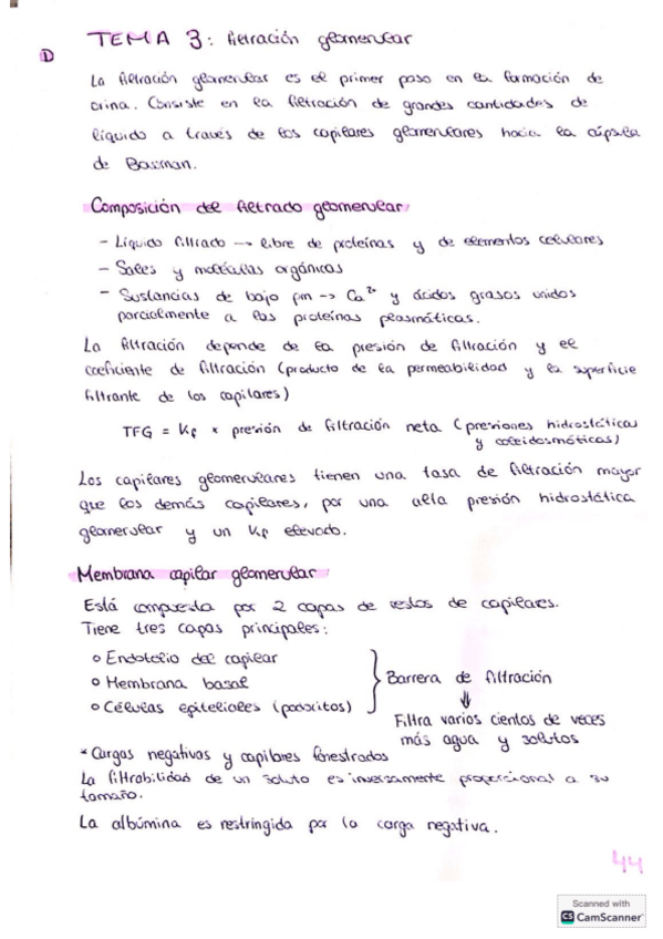 Miniatura del documento Tema-3-excretor.pdf