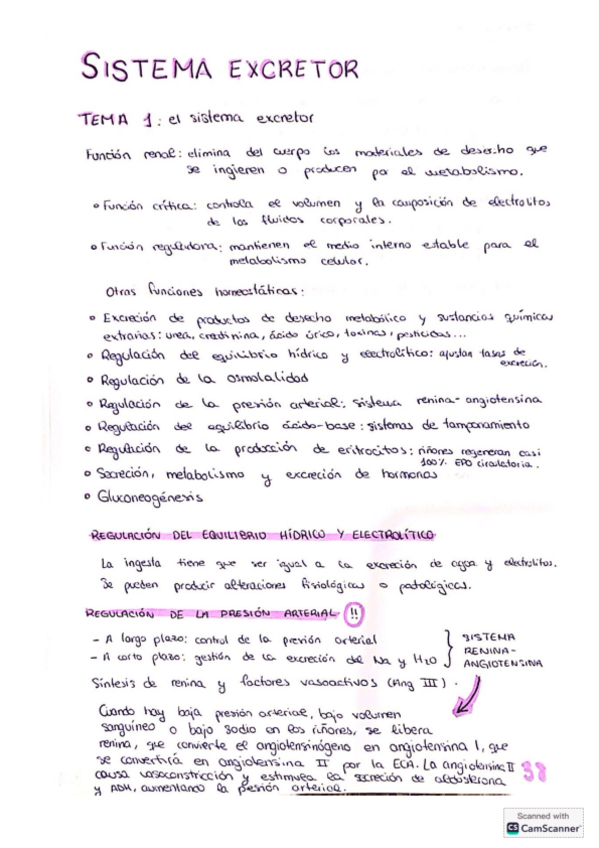 Miniatura del documento Tema-1-excretor.pdf