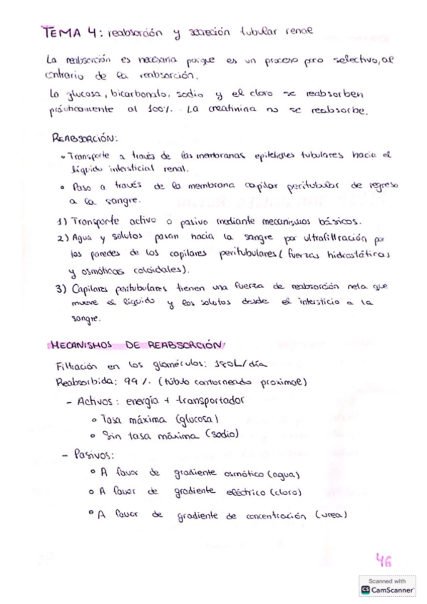 Miniatura del documento Tema-4-excretor.pdf