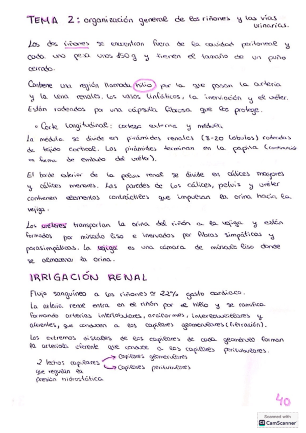 Miniatura del documento Tema-2-excretor.pdf