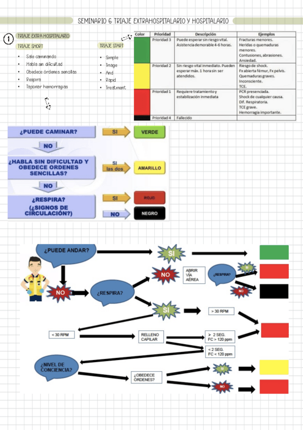 Miniatura del documento SEM-6-TRIAJE.pdf