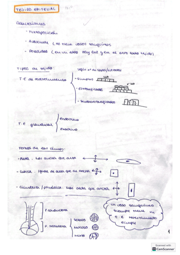 Miniatura del documento Practicas-histologia.pdf