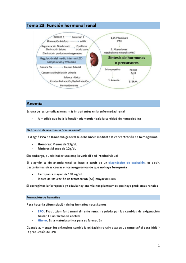 Miniatura del documento T23-FIS-renal-hormonas.pdf