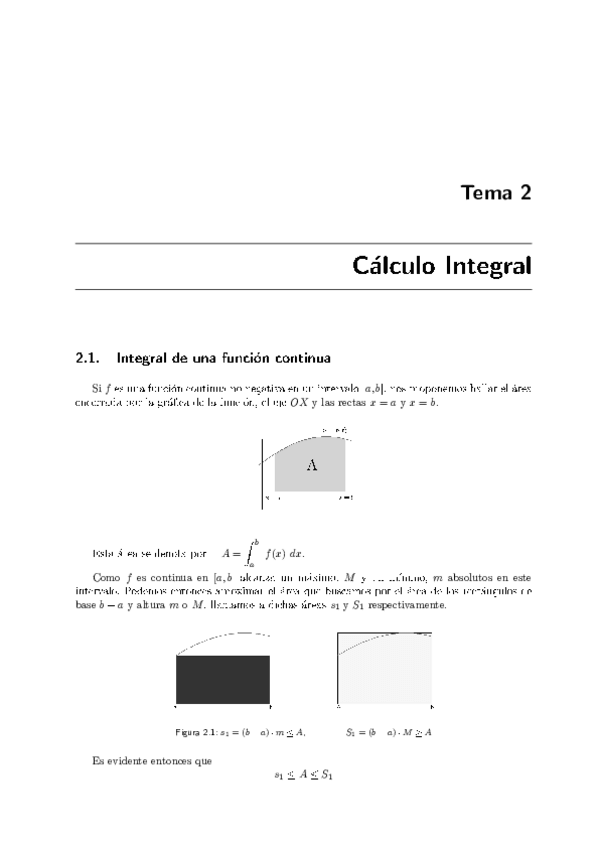 Miniatura del documento Tema-2-Calculo-Integral-Apuntes.pdf