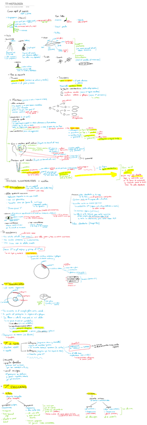 Miniatura del documento T7-HISTOLOGIA.pdf