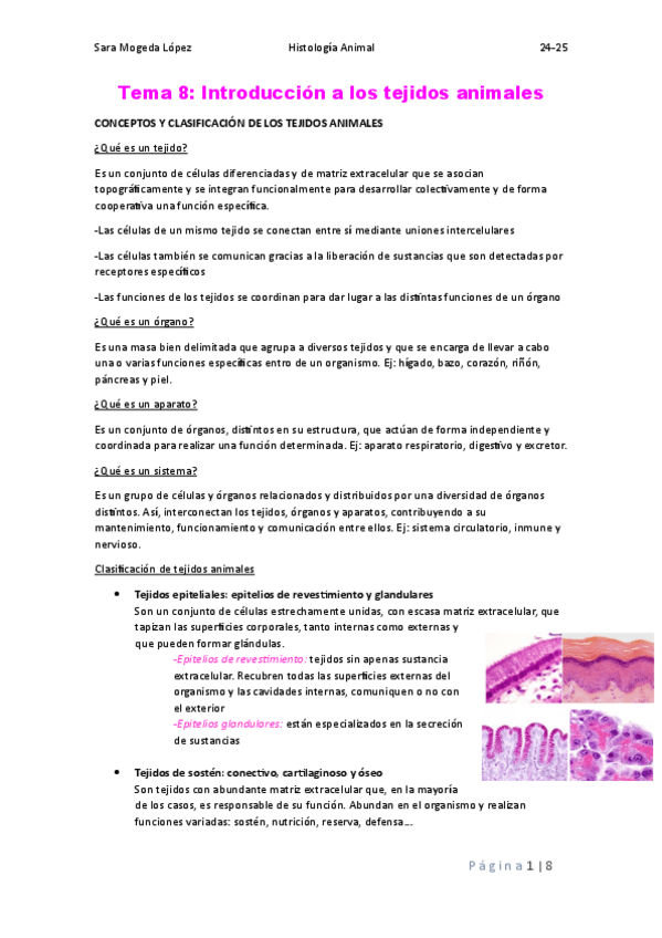 Miniatura del documento Tema-8-HistologiaAnimal.pdf