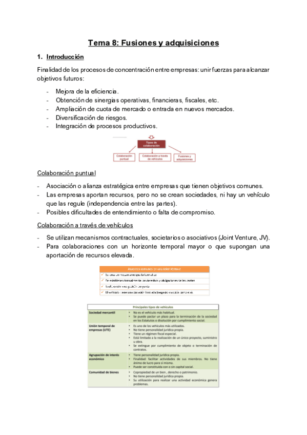 Miniatura del documento Tema-8-Fusiones-y-adquisiciones.pdf