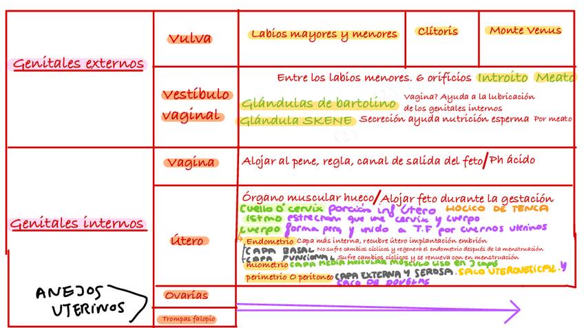 Miniatura del documento Resumen-Tema-1.pdf