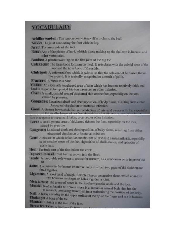 Miniatura del documento Vocabulario.pdf