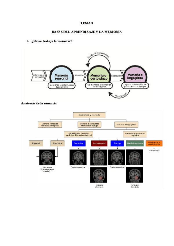 Miniatura del documento TEMA-3.pdf