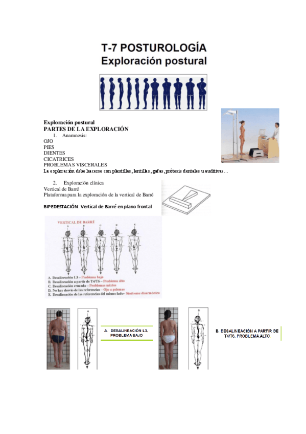Miniatura del documento Exploracion-postural.pdf