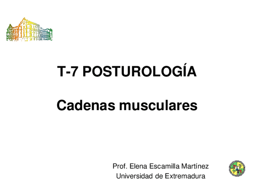 Miniatura del documento TEMA-7.5-CADENAS-MUSCULARESpdf.pdf