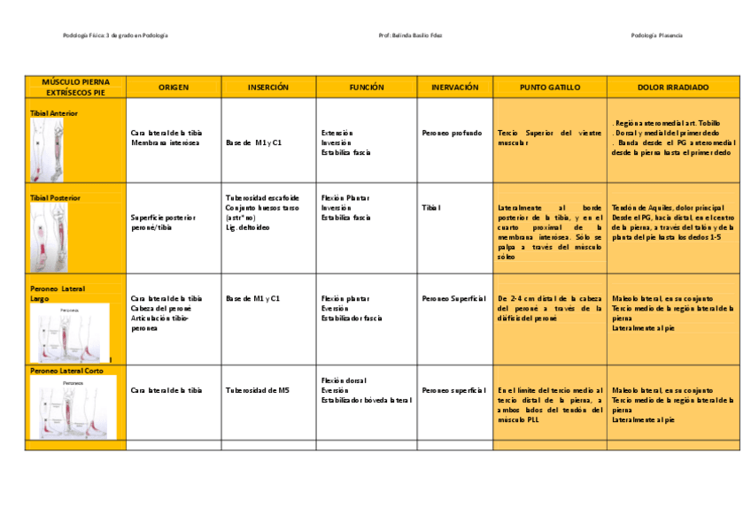 Miniatura del documento Tema-6.1-Localizacion-puntos-de-gatillo.pdf
