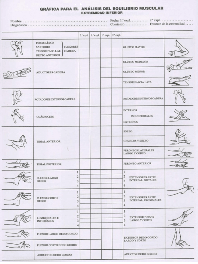 Miniatura del documento Ficha-balance-muscular.pdf