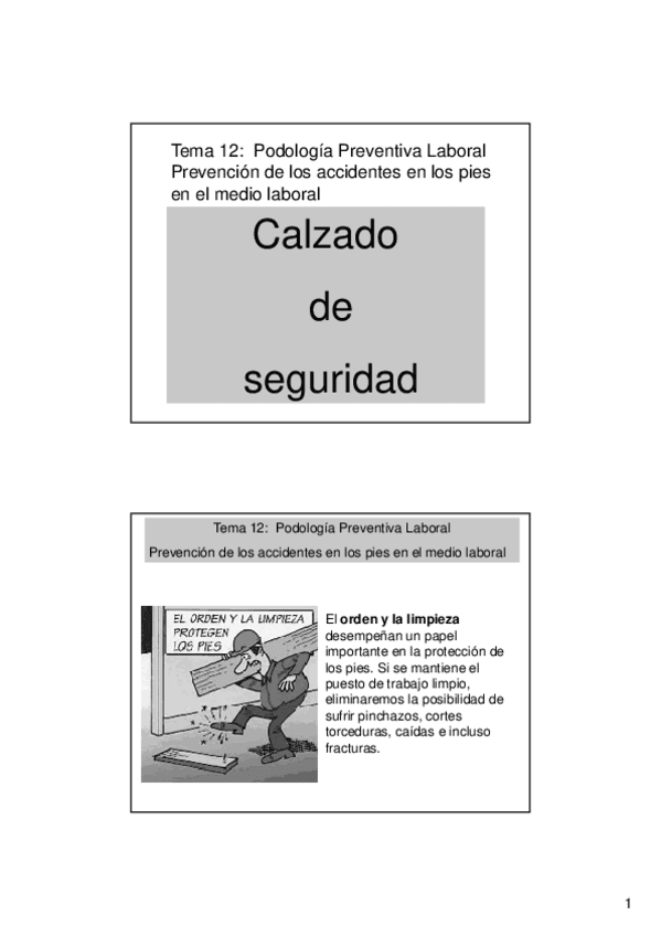 Miniatura del documento Tema-12.1-Calzado-laboral.pdf