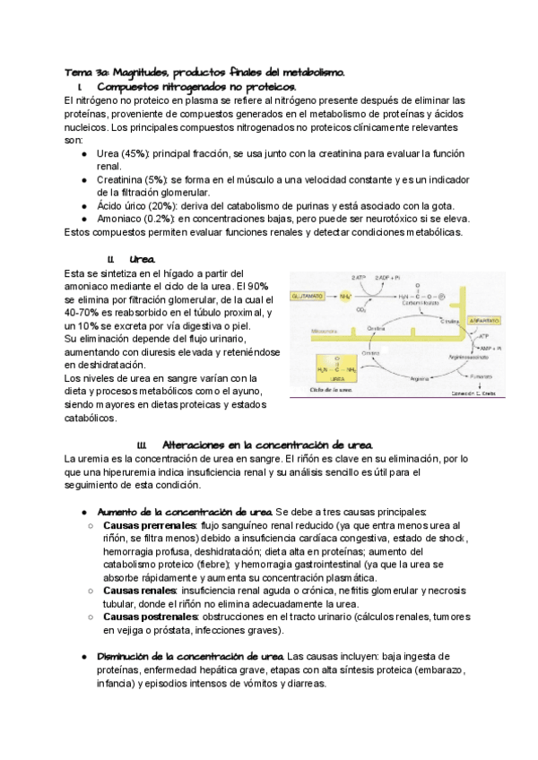 Miniatura del documento 3a.-Magnitudes-productos-finales-del-metabolismo.pdf