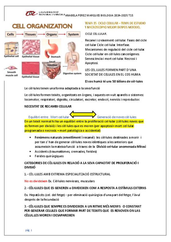 Miniatura del documento TEMA-15-CICLO-CELULAR-BIOLOGIA.pdf