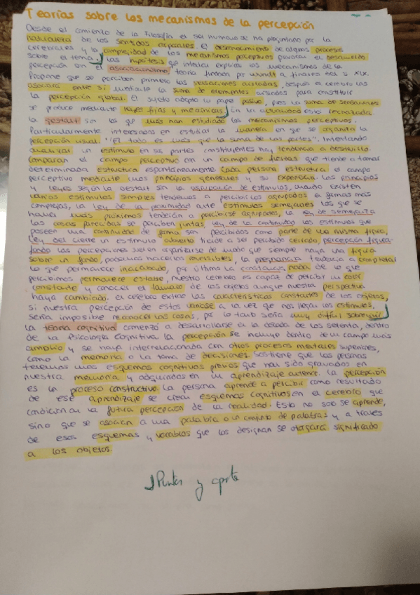 Miniatura del documento Teorías sobre los mecanismos de percepción .pdf