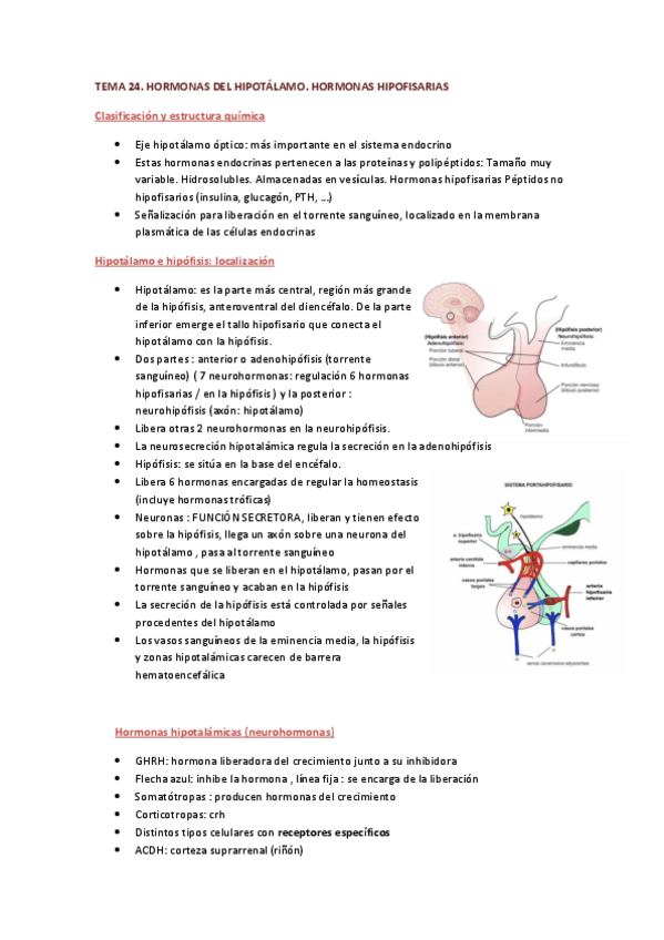Miniatura del documento TEMA-24-FISIOLOGIA.pdf