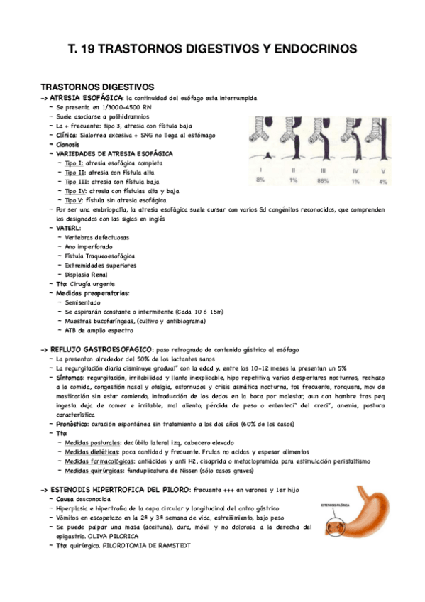 Miniatura del documento T19-infantil.pdf