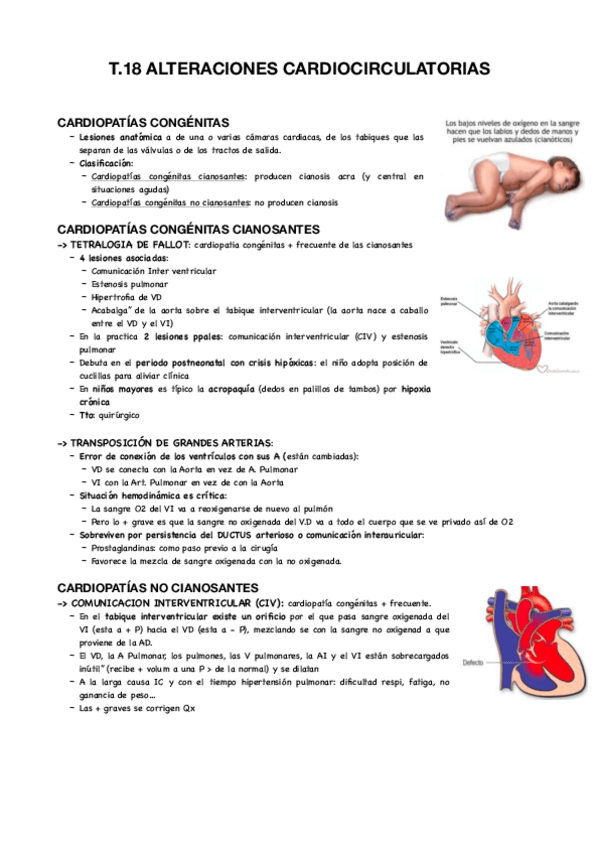 Miniatura del documento T18-infantil.pdf