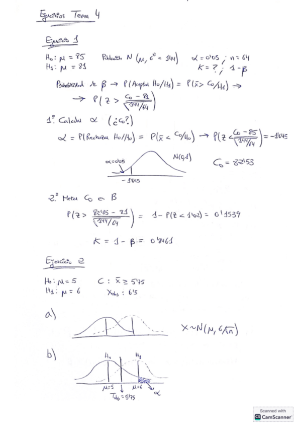 Miniatura del documento Tema-4-Ejercicios.pdf